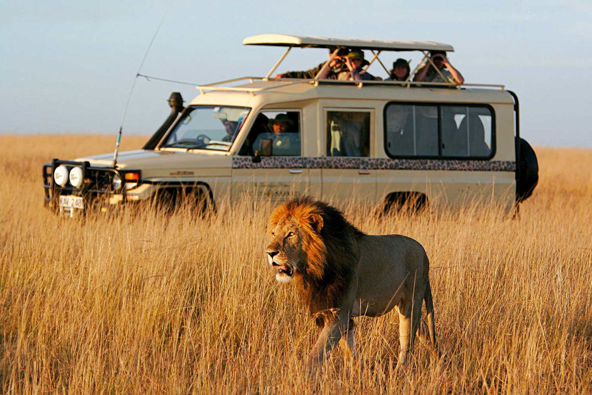 Tsavo National Park