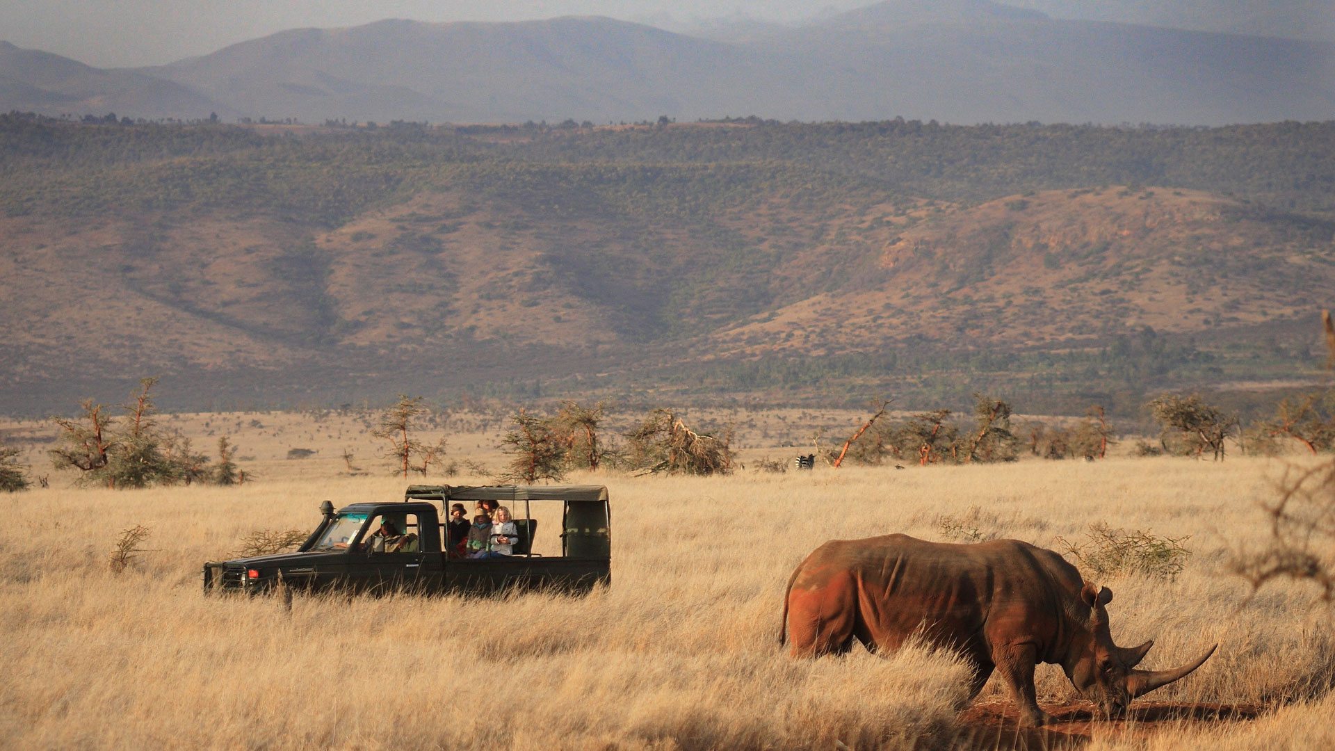 Lewa Conservancy