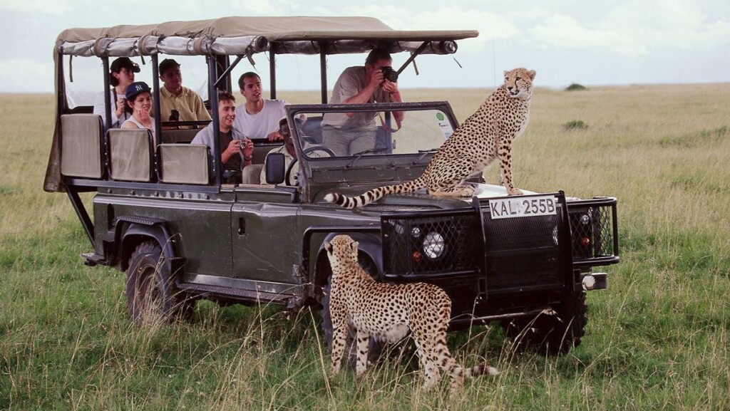 African safari packages with airfare