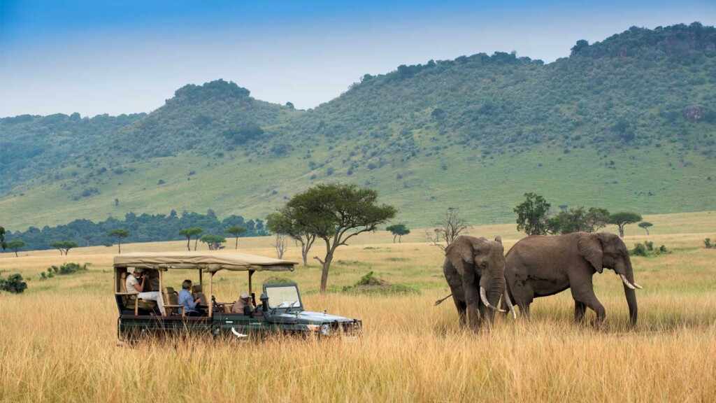 on safari africa