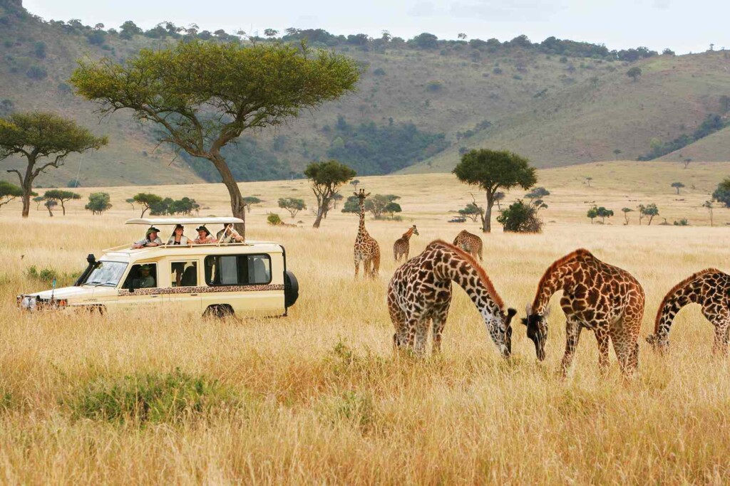 Africa tours Kenya