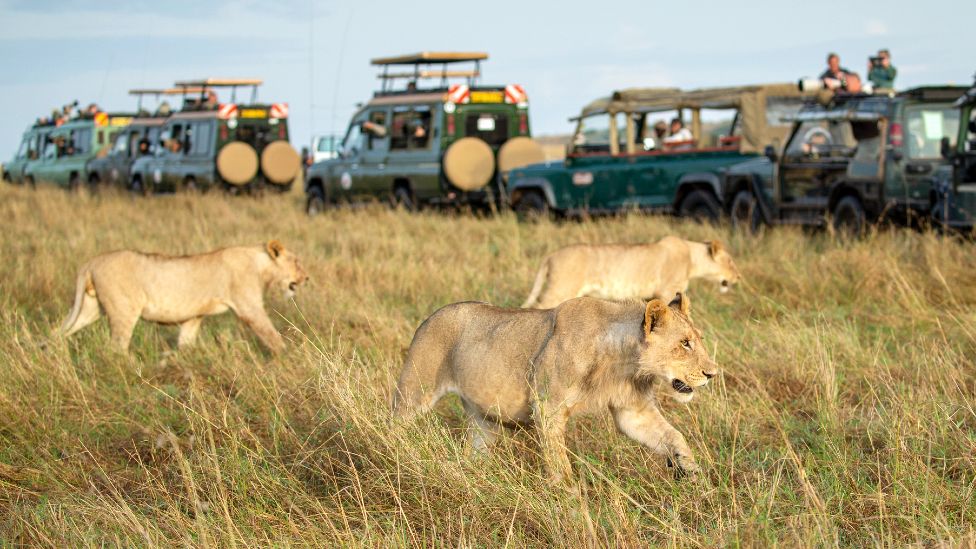 African safari tours for seniors