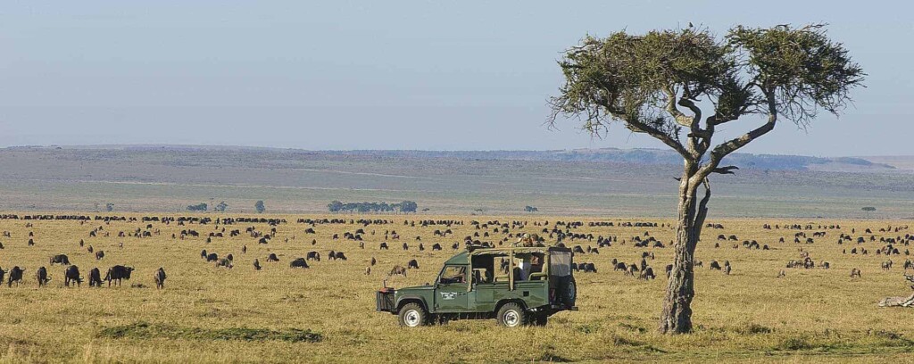 African safari where to go