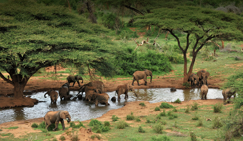 Laikipia safaris and tours