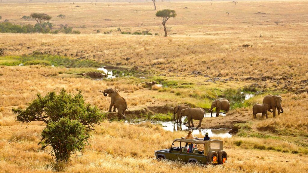 Lewa Conservancy