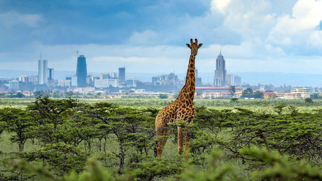 Nairobi safaris