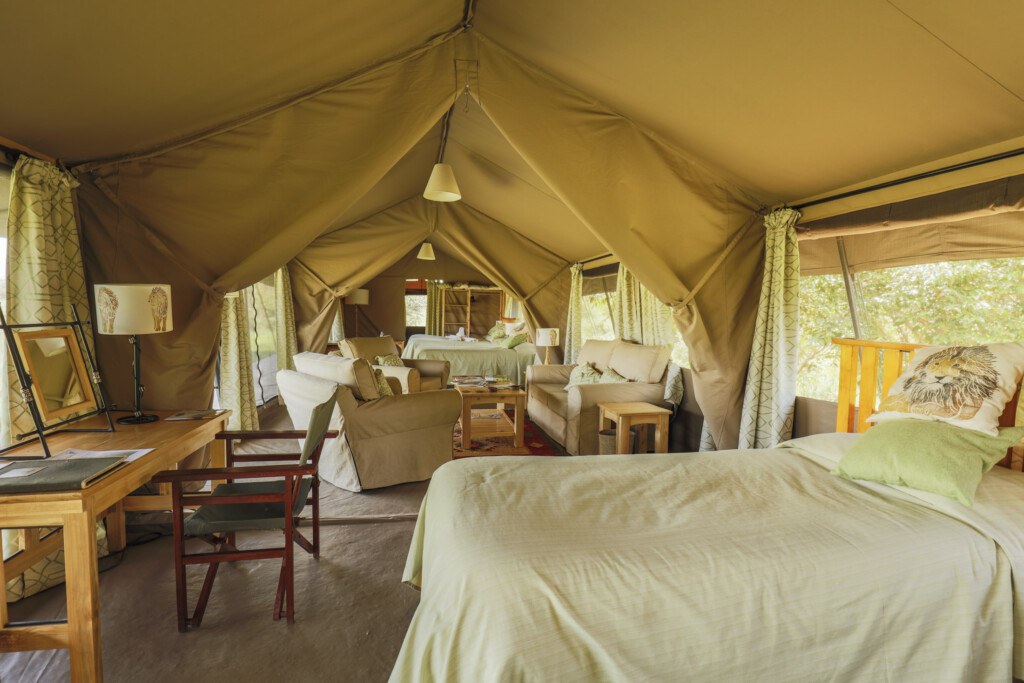 porini lion camp