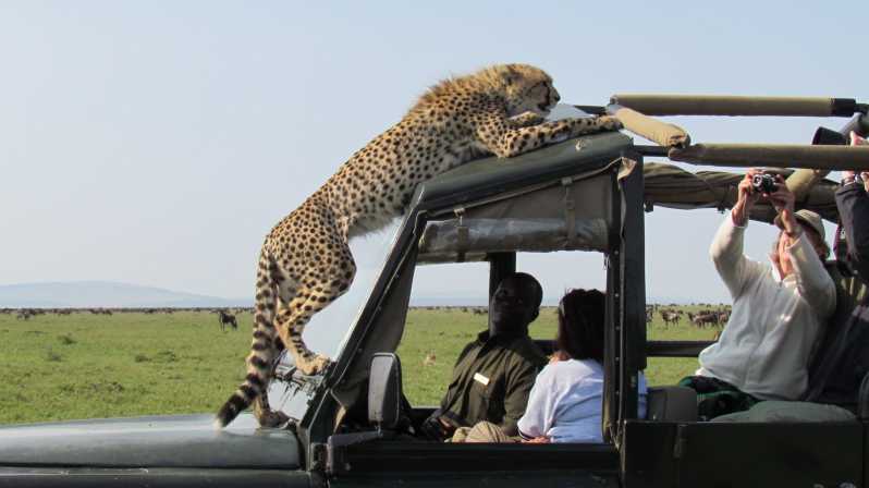 African safari tours all-inclusive
