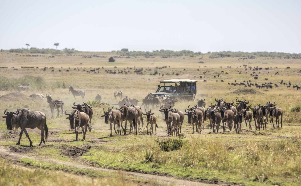 luxury trlavel in Africa