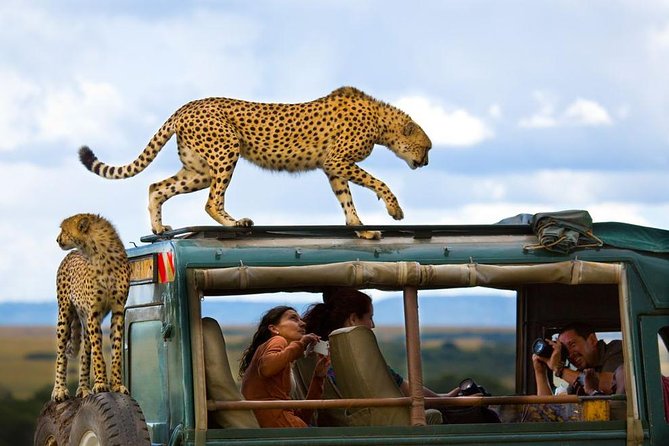 best africa trips