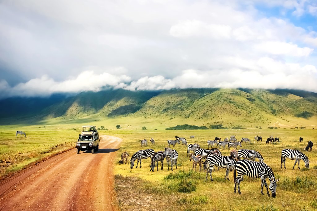 5 days African safari