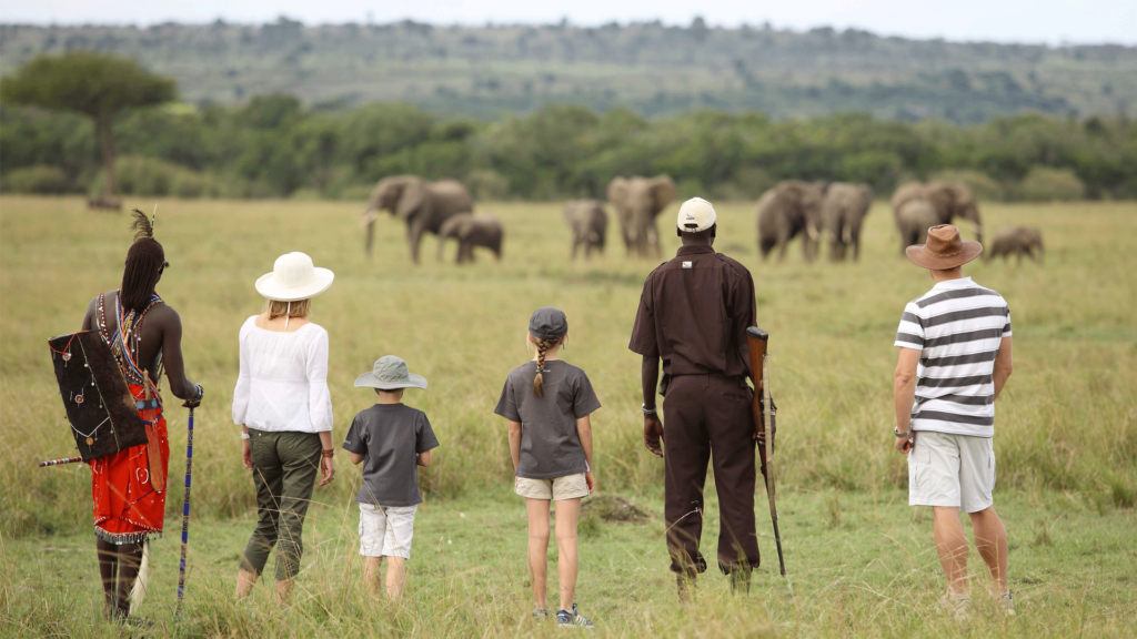 best kenya safari tour operators