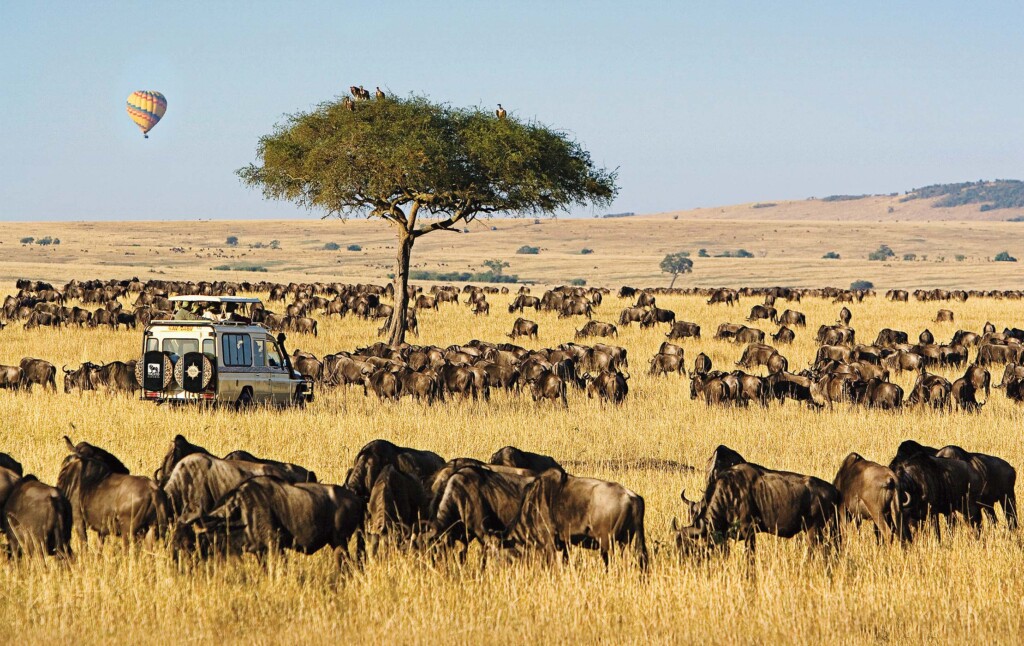 African safari tours reviews
