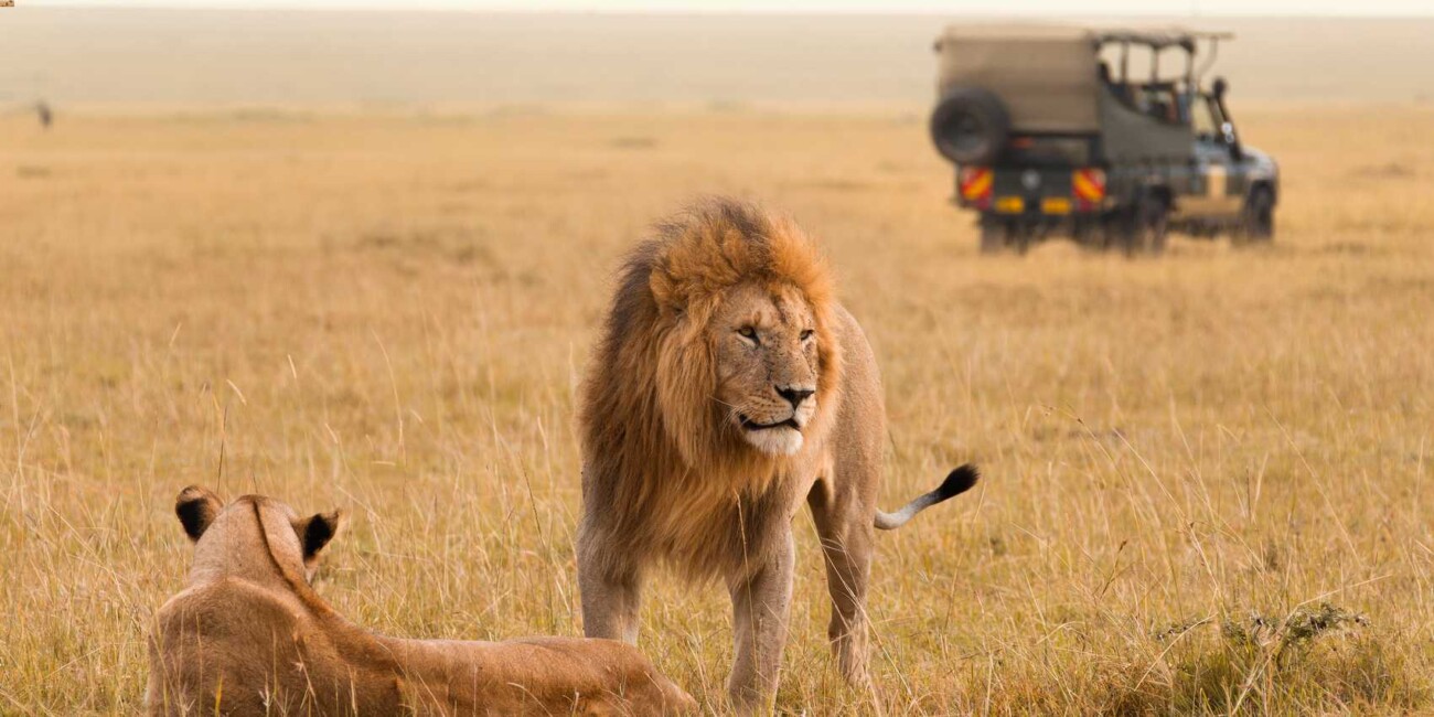 Masai Mara 