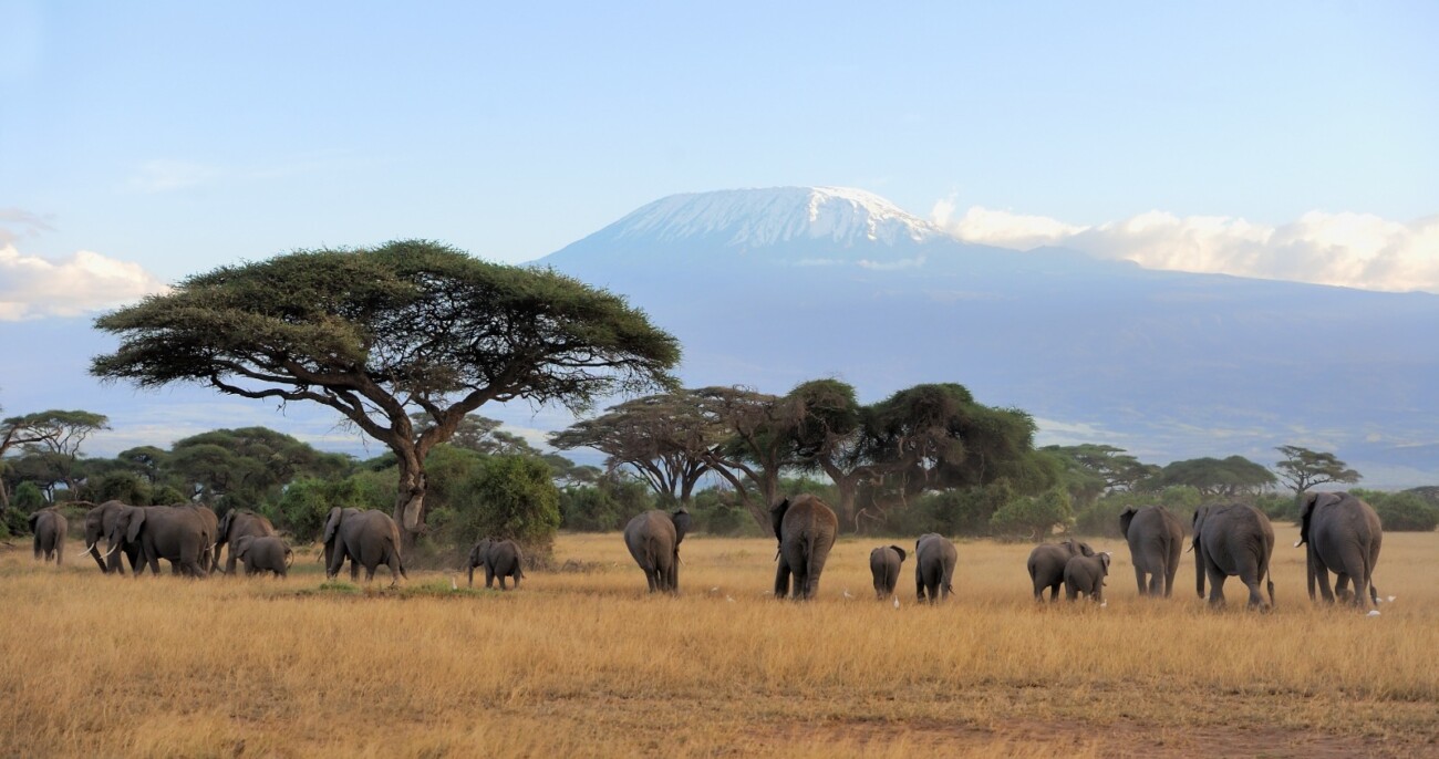 Amboseli National Park