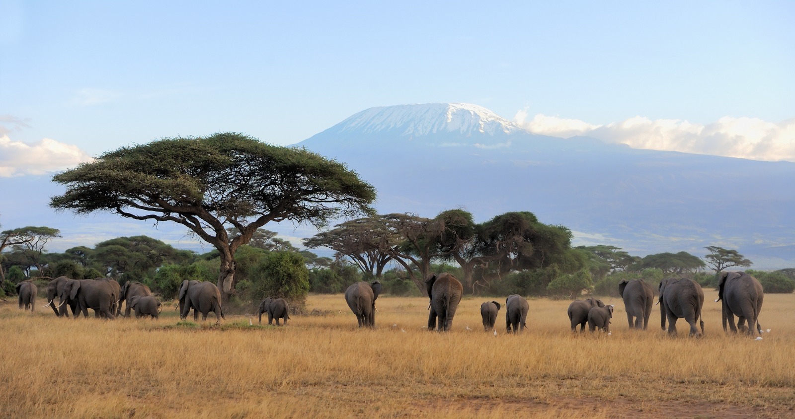 Amboseli National Park